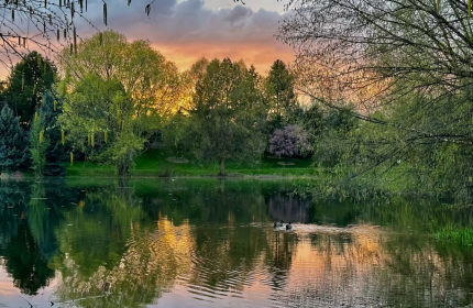 Ponds, Waterways and Trees